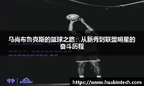 彩神VI首页官网